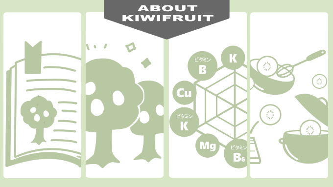 ABOUT KIWIFRUIT